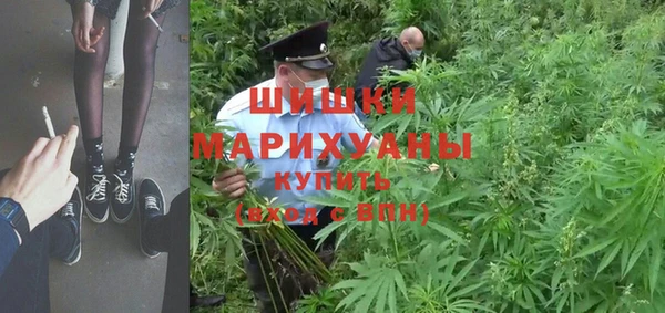 гидропоника Алзамай
