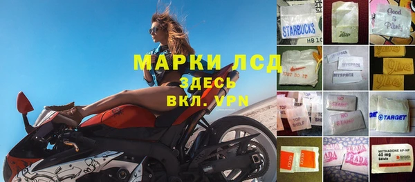 гидропоника Алзамай