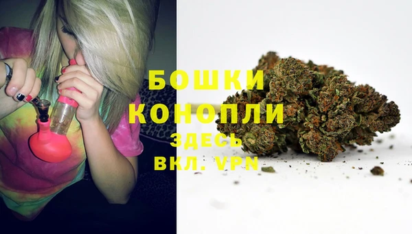 mdpv Алексин